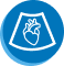 Echocardiogram (echo) icon