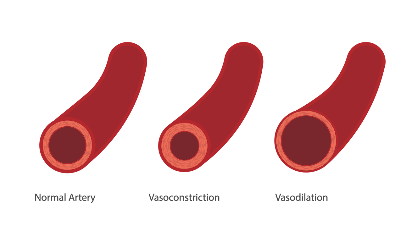 Pulmonary Lung Illustration demonstrating Prostacyclin therapy