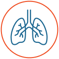 Icon: Lung Illustration