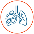 Icon: PH in Lung Illustration