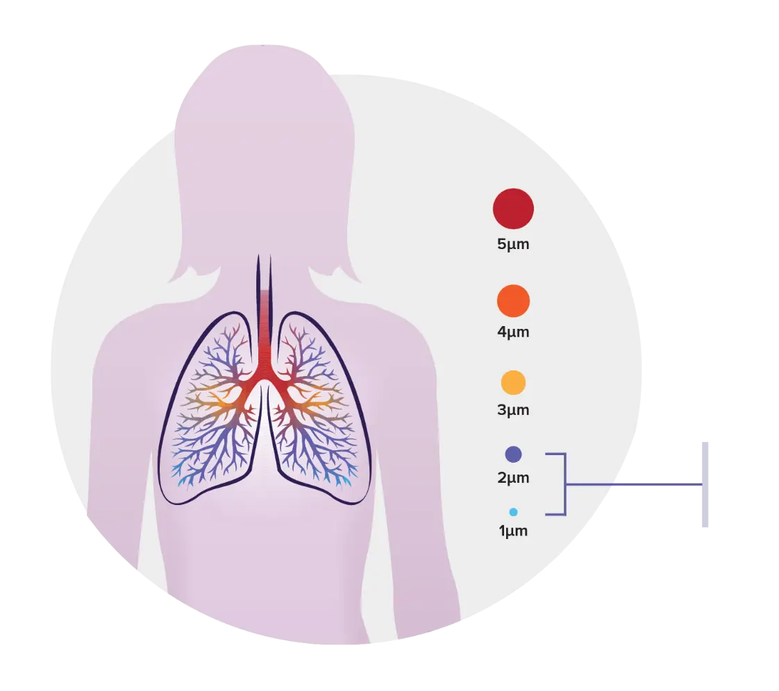 Diagram showing how smaller drug particles have the potential to get deeper into the lungs